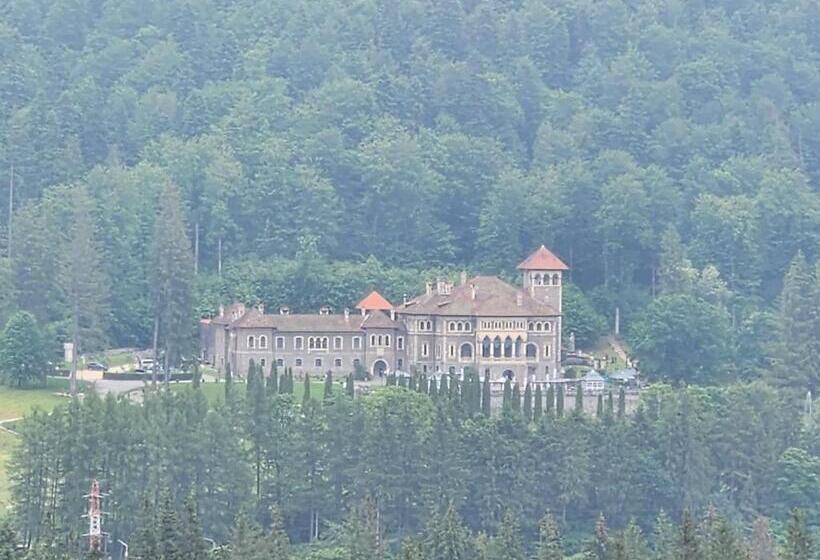 Отель Vila Dolly