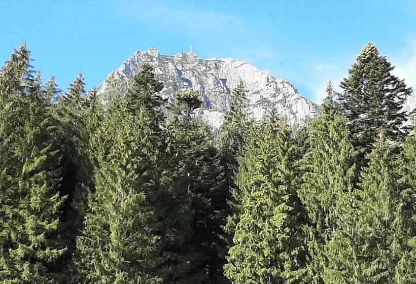 Отель Vila Dolly