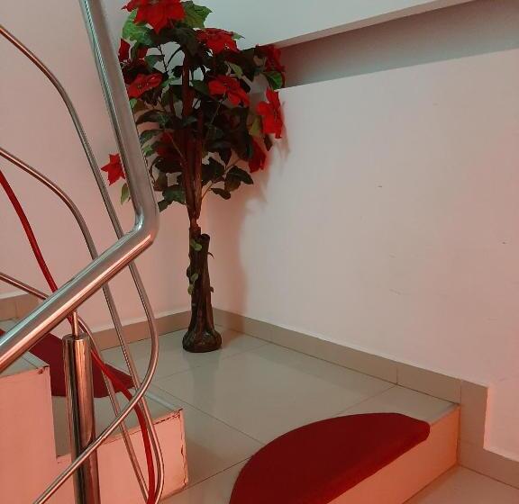 Отель Vila Dolly