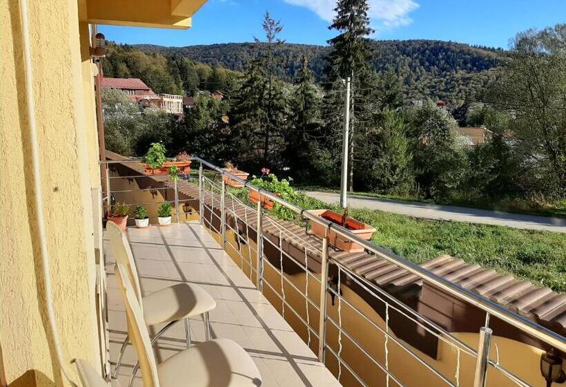 Отель Vila Dolly