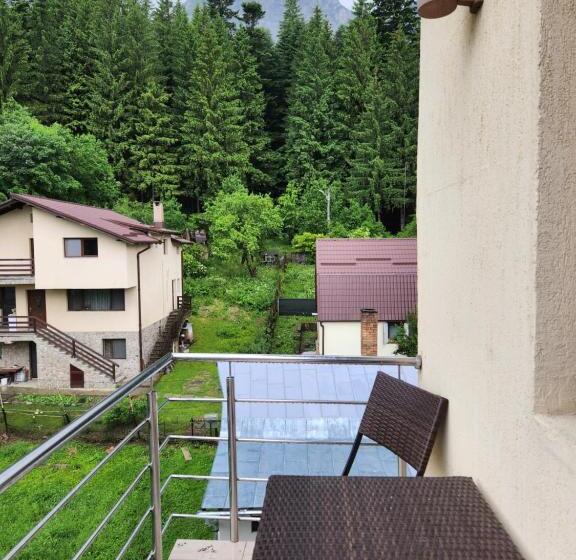 Отель Vila Dolly