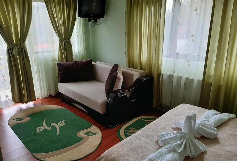 Отель Vila Dolly