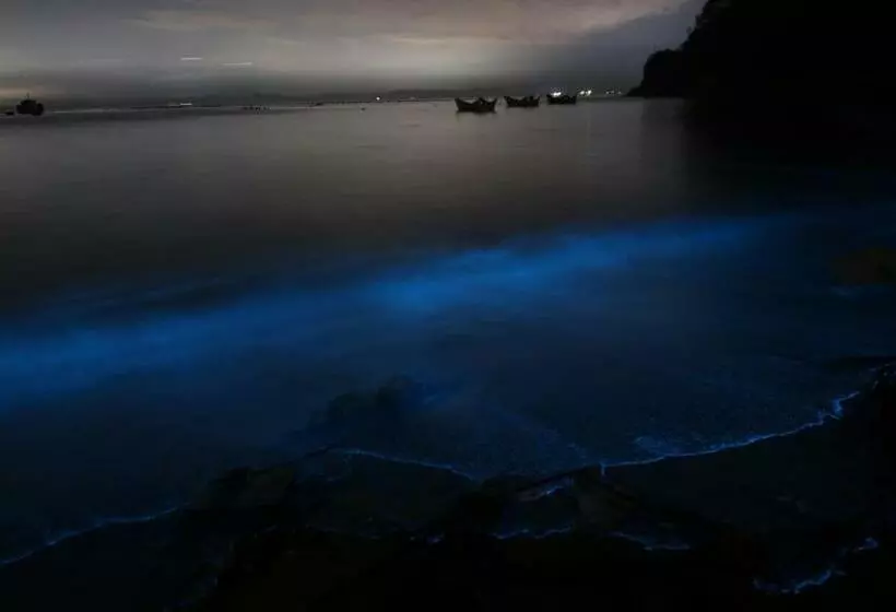 پانسیون 亞窩行館 Yao Guesthouse