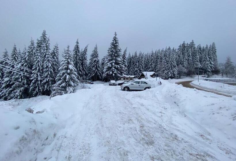 Apartman M&s   Zoned 2