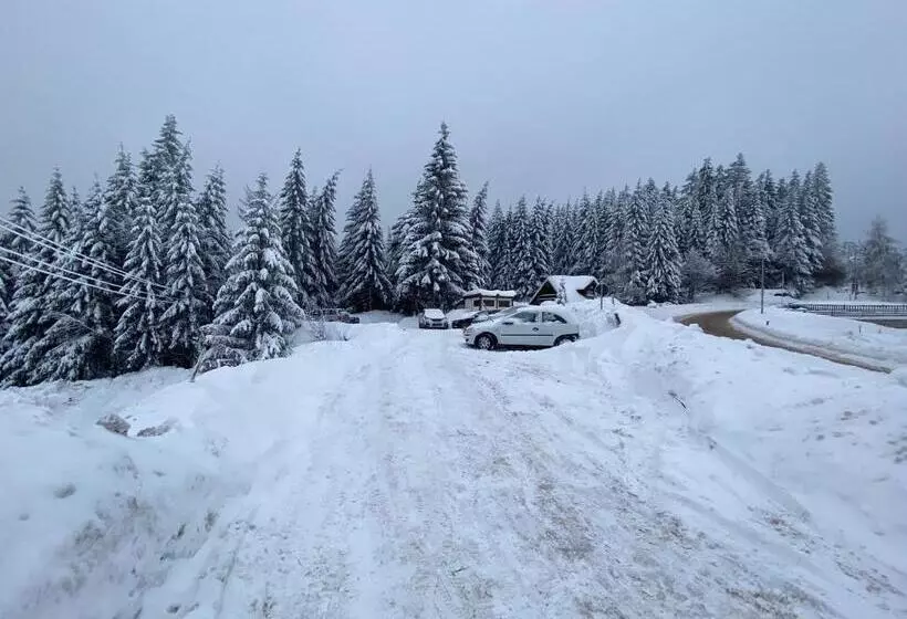 Apartman M&s   Zoned 2