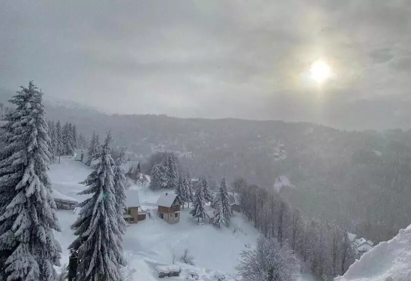 Apartman M&s   Zoned 2