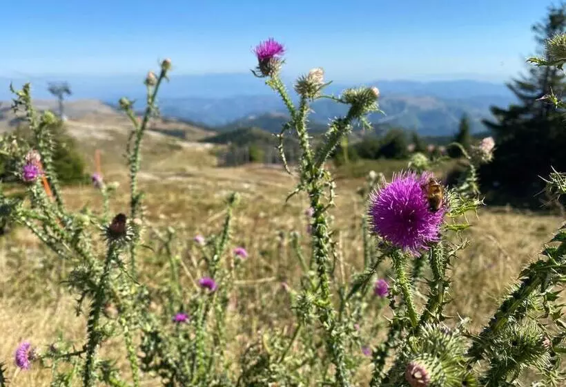 Apartman M&s   Zoned 2