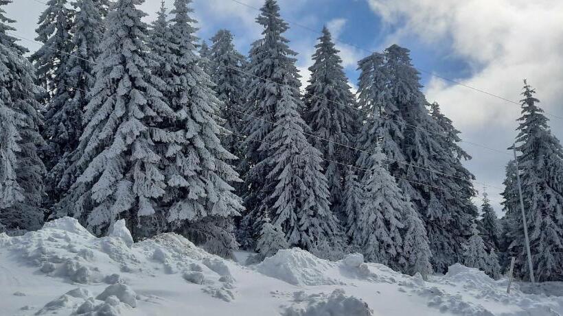 Apartman M&s   Zoned 2