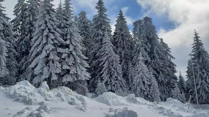 Apartman M&s   Zoned 2