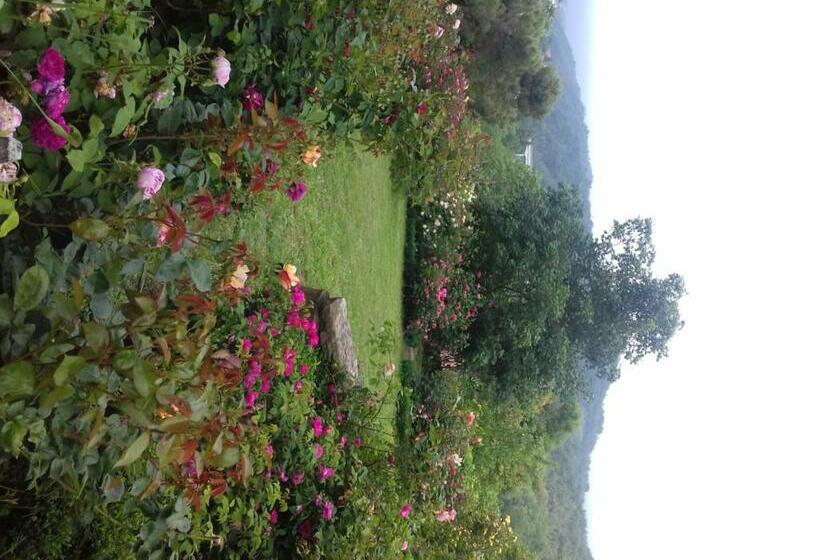 B&b The Roses Garden