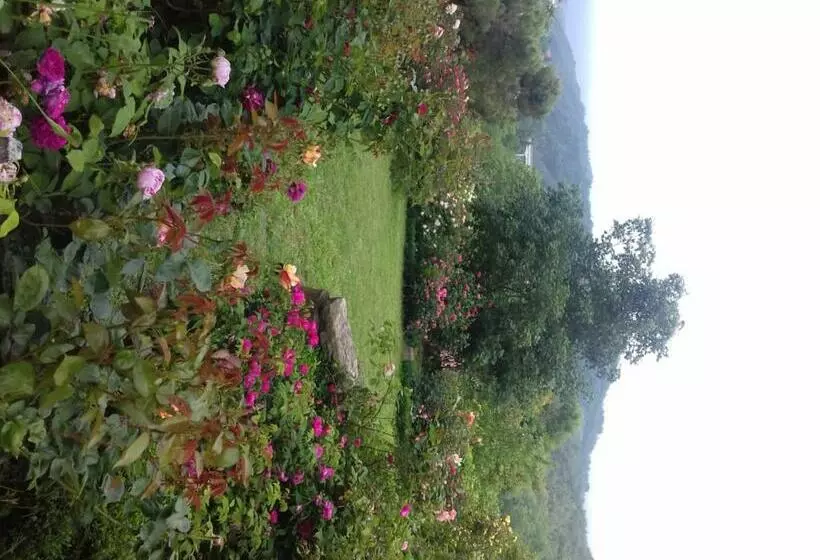 B&b The Roses Garden