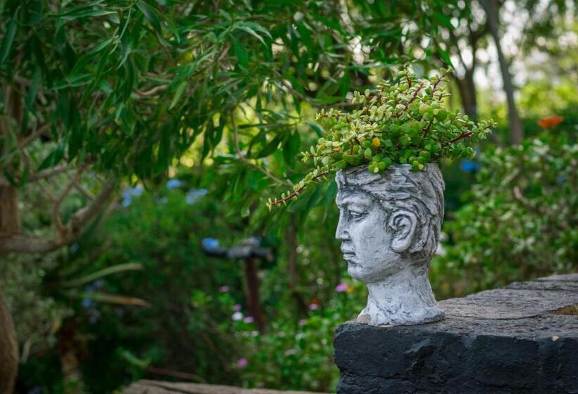 酒店 Le Rêve Boutique Hôtel