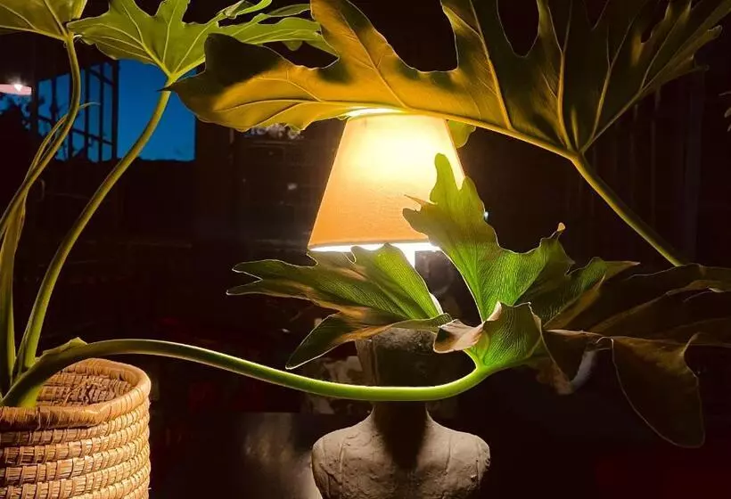 Hotelli Le Rêve Boutique Hôtel