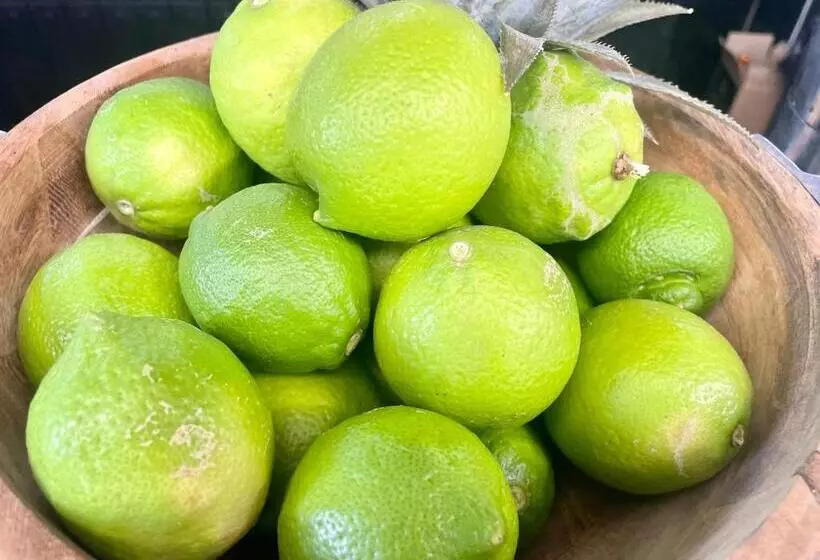 Hotelli Le Rêve Boutique Hôtel