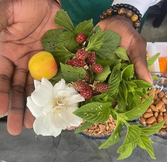 酒店 Le Rêve Boutique Hôtel