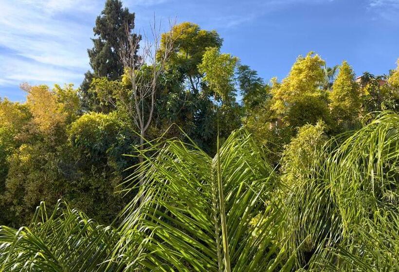 هتل Sillage Palace Sky & Spa