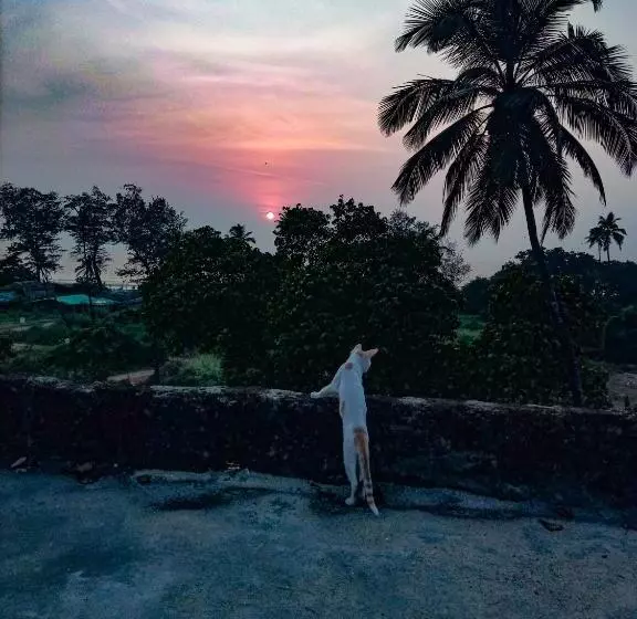 ペンション Dreamcatcher House & Hostel At Arambol Beach