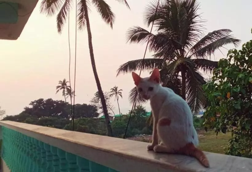 ペンション Dreamcatcher House & Hostel At Arambol Beach