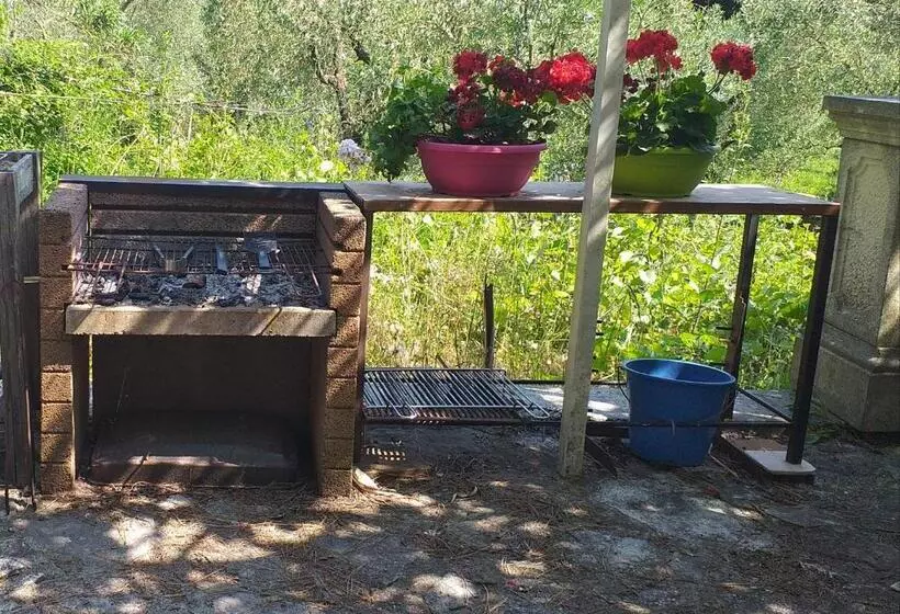 Majatalo L Angolino, Casale Vita Nova