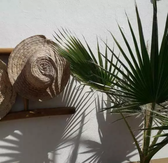 پانسیون Riad Safina