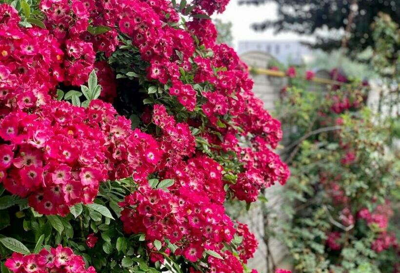 Pensjonat Vila Cristina Residence