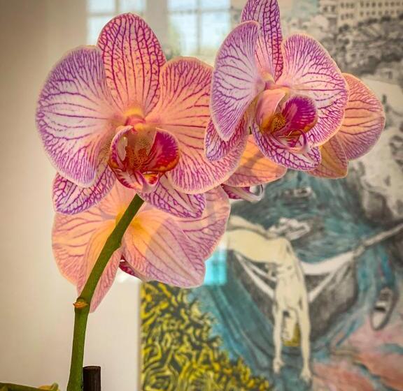 צימר Villa Ajna Bayonne