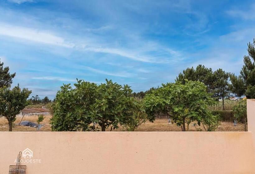 Casa Do Avô Zé   Silveira   Santa Cruz