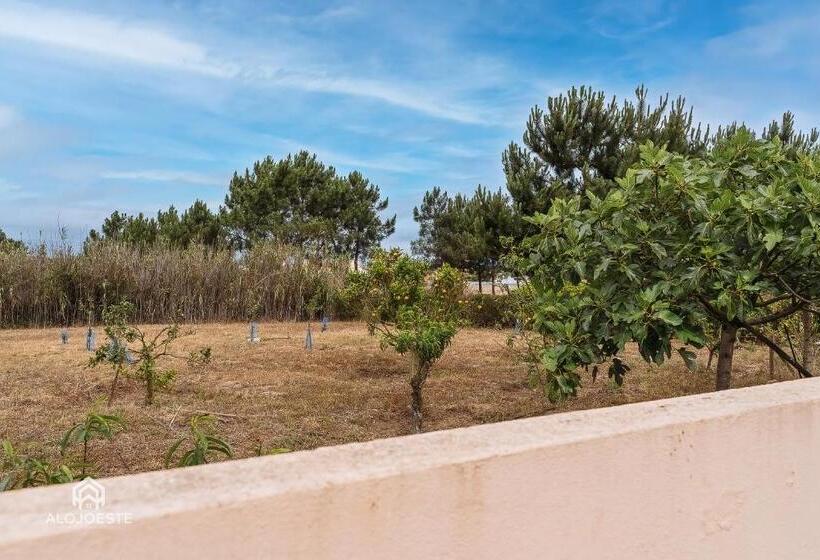 Casa Do Avô Zé   Silveira   Santa Cruz