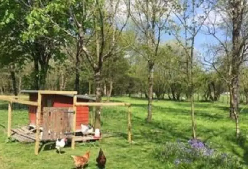 Daffodil House Annex, Cynghordy, West Wales