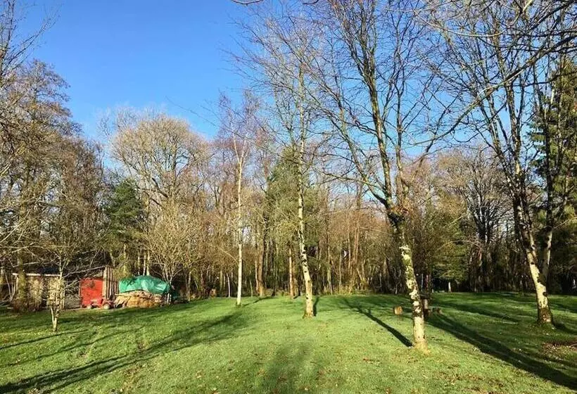 Daffodil House Annex, Cynghordy, West Wales
