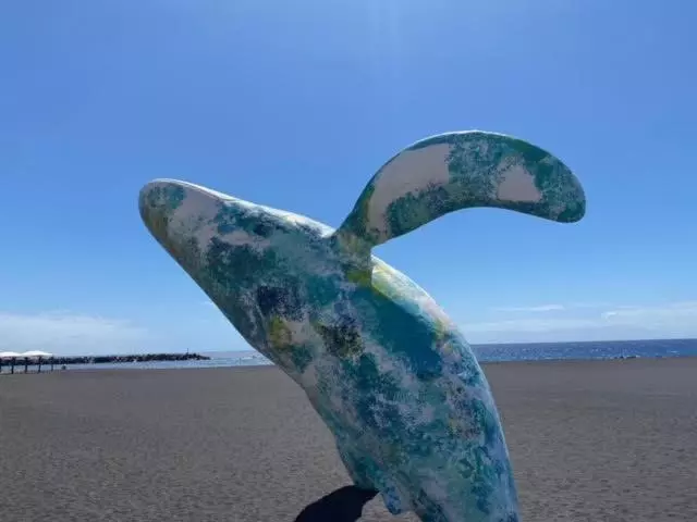 El Mercado Apartment