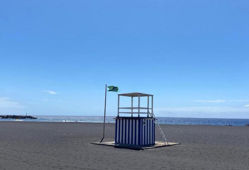 El Mercado Apartment