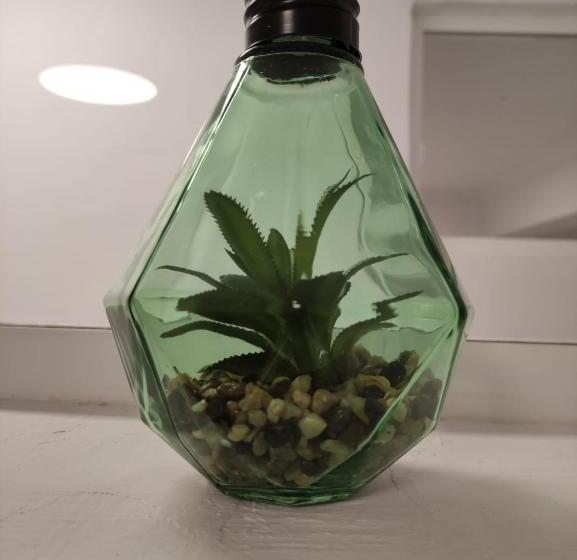 El Mercado Apartment