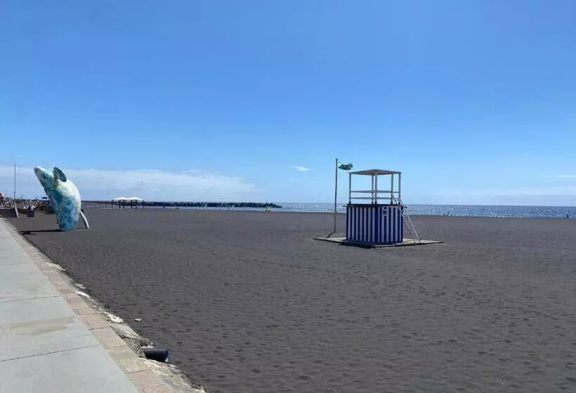 El Mercado Apartment