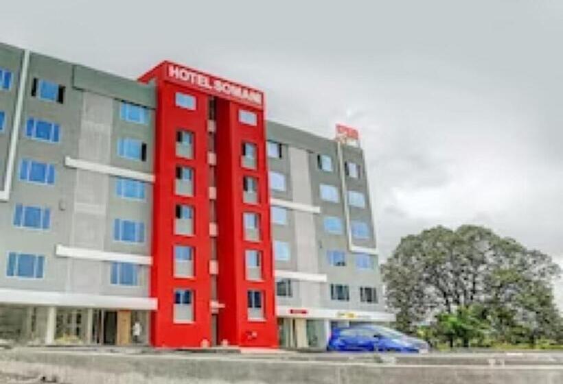 בית מלון כפרי Townhouse Somani