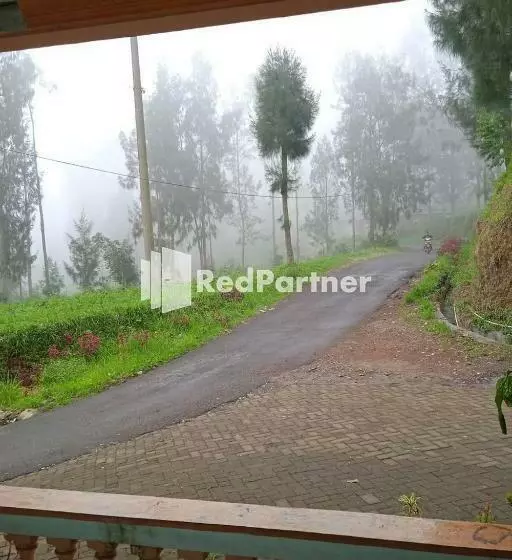 ホテル Gebby Homestay Bromo Redpartner