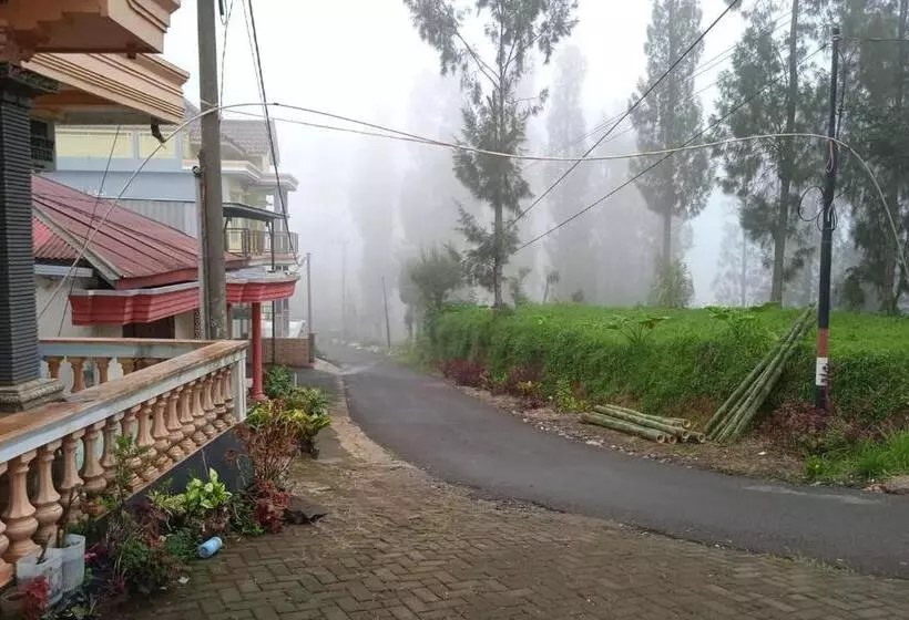 ホテル Gebby Homestay Bromo Redpartner
