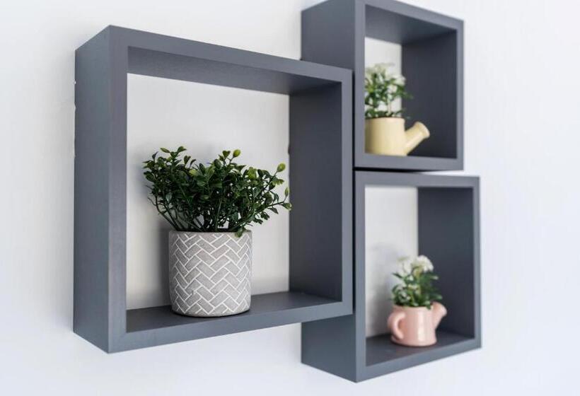 Modern & Contractors & Leisure & Driveway Parking & Garden