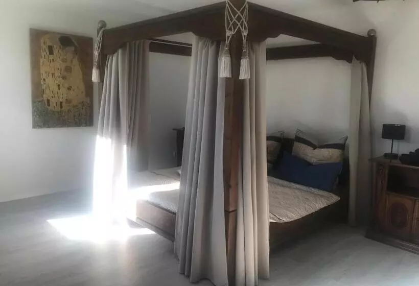 Bildstein S Dharamsala