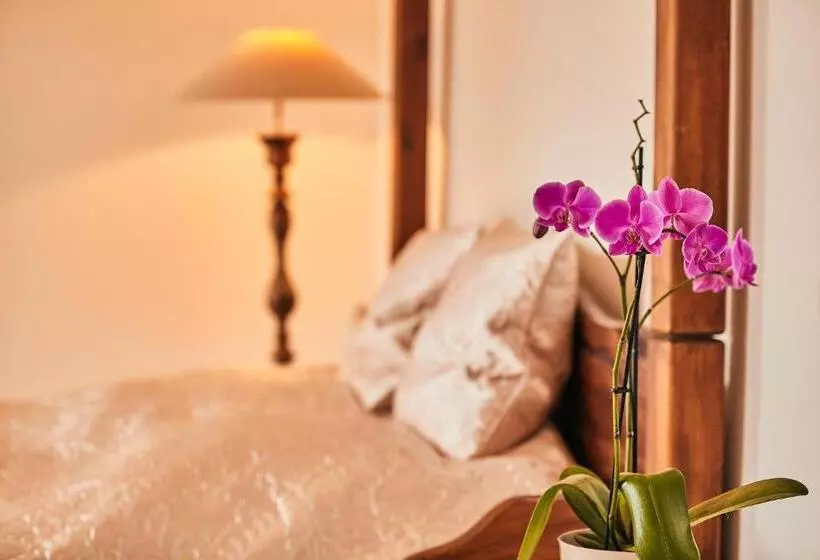 Bildstein S Dharamsala