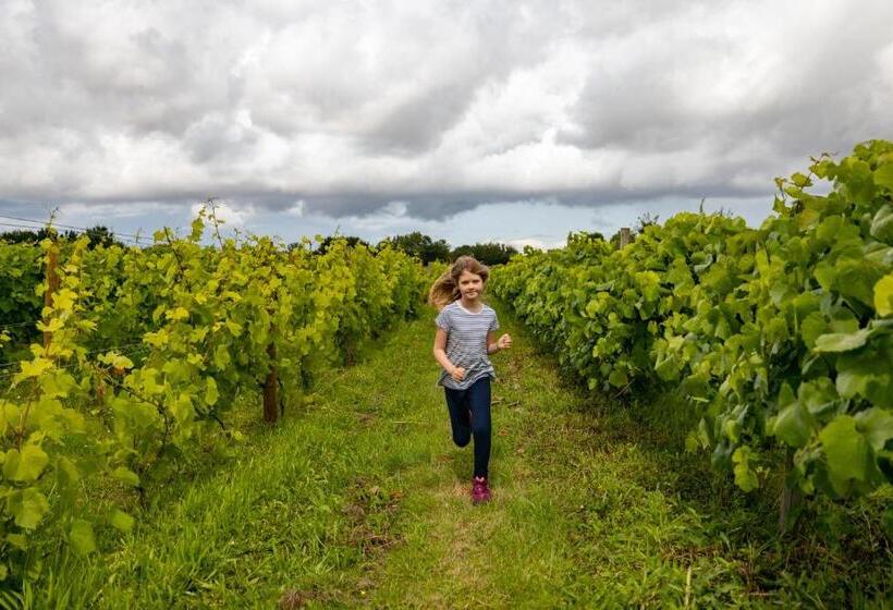 Vineyard Cottage, Hartest 2 Bed With Parking