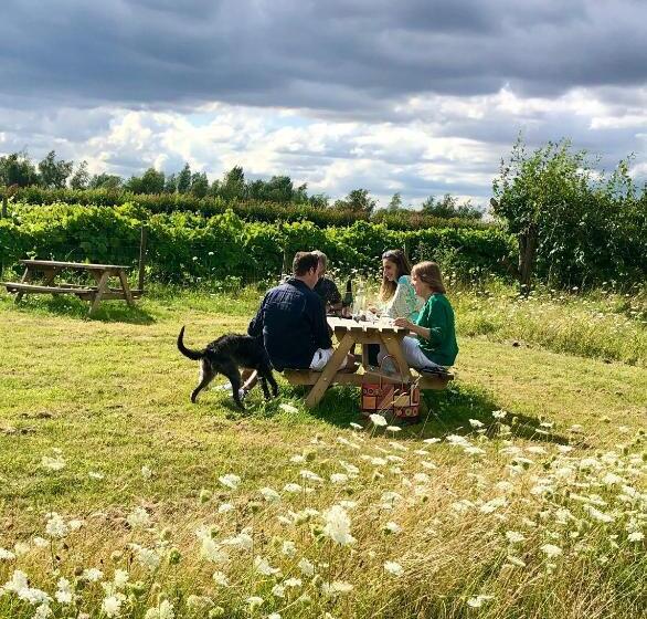 Vineyard Cottage, Hartest 2 Bed With Parking