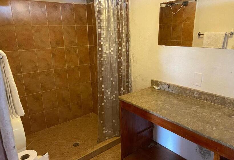 پانسیون Hostal Hollywood Inn Ii