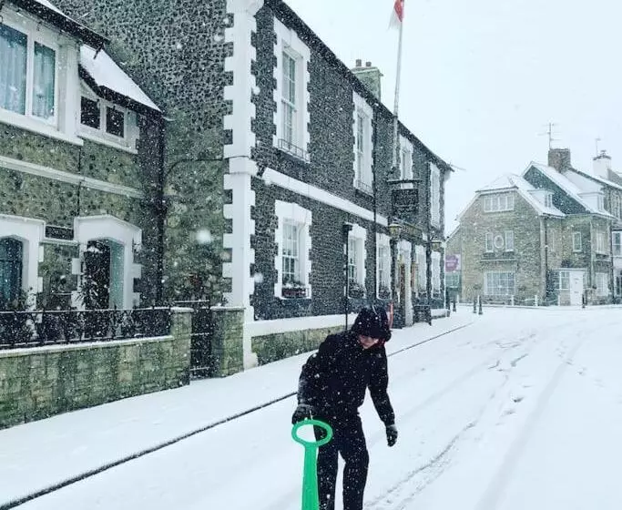 Escape Pod In Devon, 5 Mins From Beach + Parking