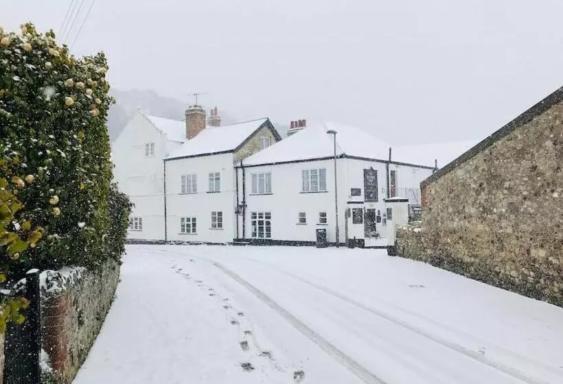 Escape Pod In Devon, 5 Mins From Beach + Parking