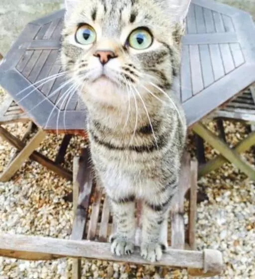 Escape Pod In Devon, 5 Mins From Beach + Parking