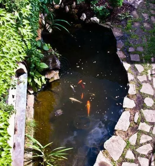 Retkeilymaja New Fajka