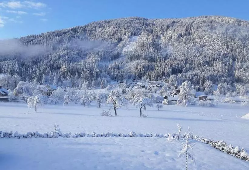 Apartment Ferienwohnung 3 Treffen Am Ossiachersee