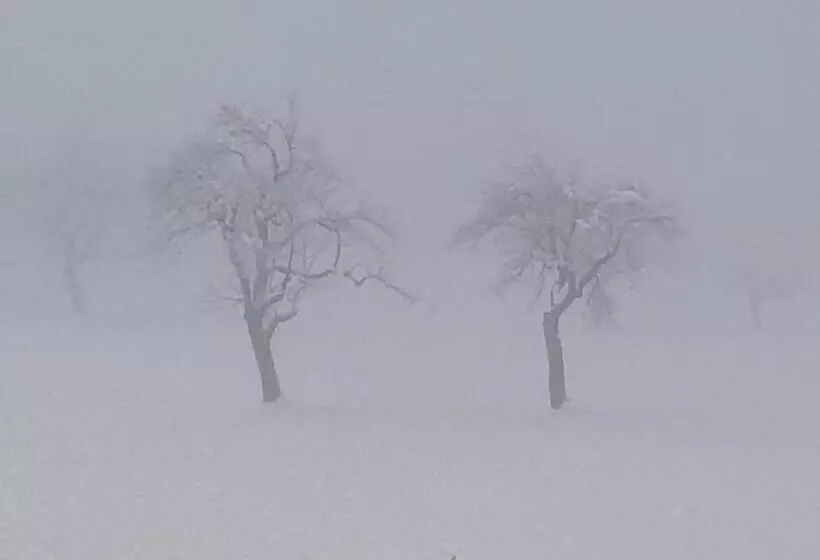 Apartment Ferienwohnung 3 Treffen Am Ossiachersee