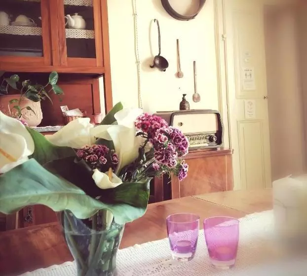 Bed And Breakfast Evelina